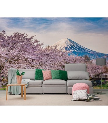 Fotomural Monte Fuji 3P