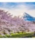 Fotomural Monte Fuji 2P