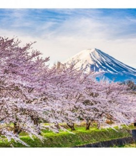 Fotomural Monte Fuji 2P