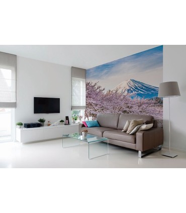 Fotomural Monte Fuji 2P