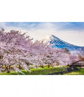 Fotomural Monte Fuji 1P