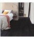Quick-Step CAPTURE SIG4755 Roble negro pintado