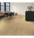 Quick-Step CAPTURE SIG4750 Roble beige barnizado