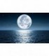 Fotomural Luna 1P