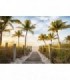 Fotomural Walk to Paradise 3P