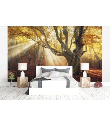 Fotomural Atardecer de otoño 3P