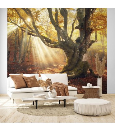 Fotomural Atardecer de otoño 2P