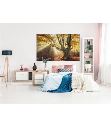 Fotomural Atardecer de otoño 1P