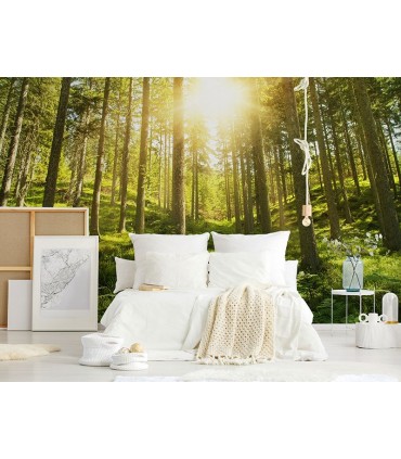 Fotomural Mirada al cielo 3P