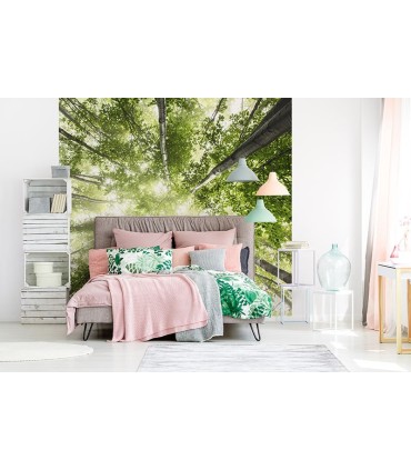 Fotomural Mirada al cielo 2P