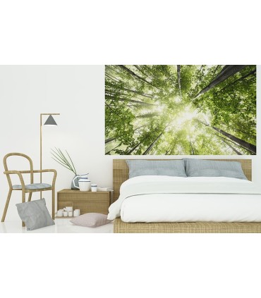 Fotomural Mirada al cielo 1P