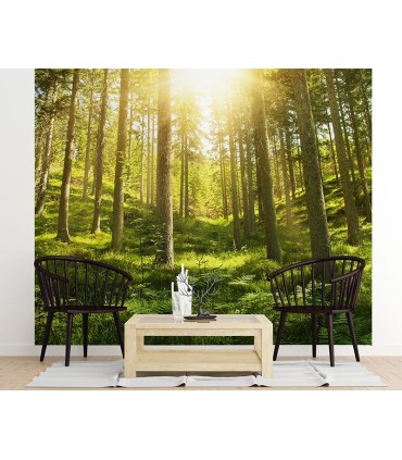 Fotomural La madre tierra 2P