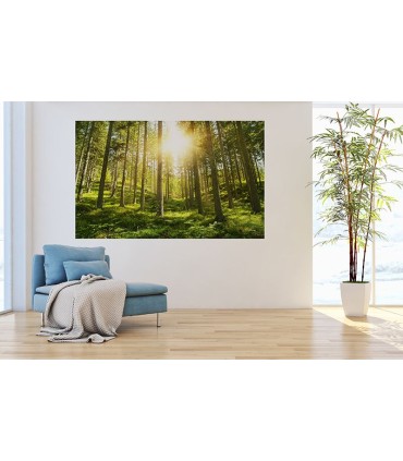 Fotomural La madre tierra 1P