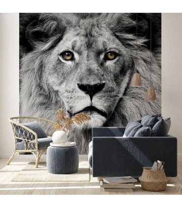 Fotomural Lion 2P