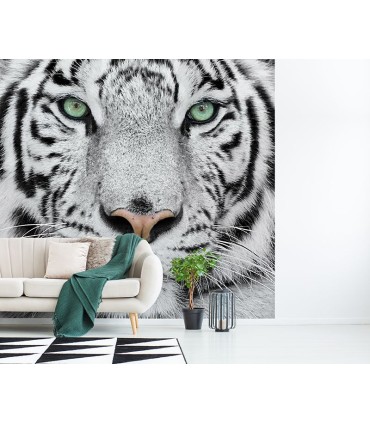 Fotomural Tiger 2P