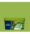 Colores del Mundo VERDE NATURAL 4L