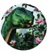 Iguanodon