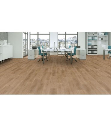 Rock 40 CLIC 643315 California