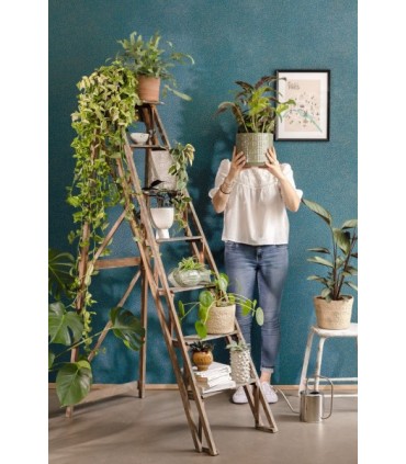 Papel pintado GREEN LIFE 2 10173 CASELIO