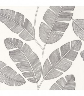 Banana Tree 101099007