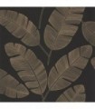 Banana Tree 101102090