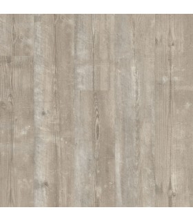 Quick-Step BLOOM AVMPU40074 Pino neblina matinal