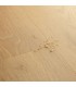 Quick-Step BLOOM AVMPU40316 Roble elegante natural