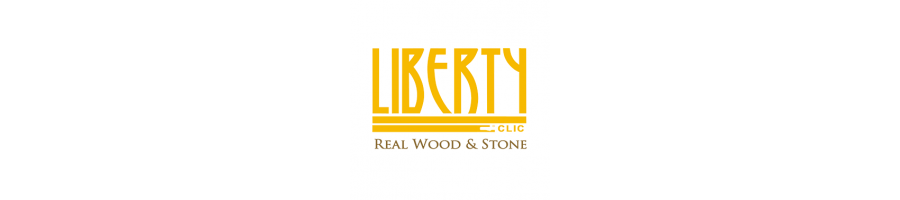 Liberty Rock 55 Acustic clic